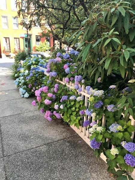 To ask you to show me your gorgeous fancy houses?