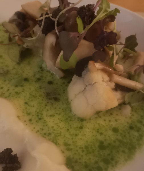 Week 5 - Low Carb Bootcamp '22 - we're half way through!