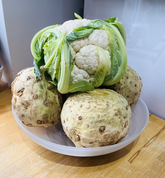 Week 3 - Jan 22 Low Carb Bootcamp - Bootcamp Light or not?