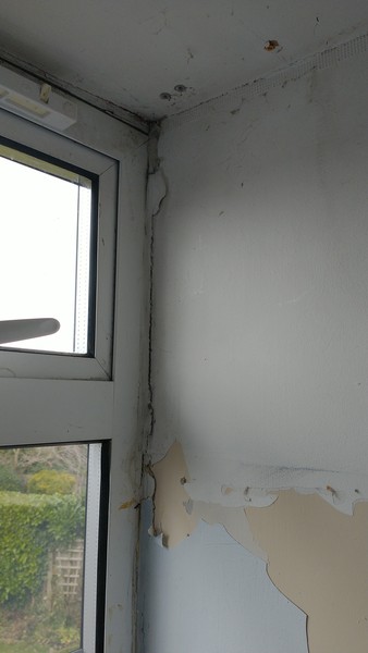Fledglings bolt into Spring! Fresh air, fresh flowers, fresh sheets – No fledgling left behind…