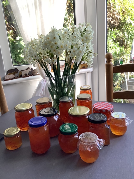 It’s that time of year again! (marmalade)
