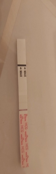 Ovulation day & TWW