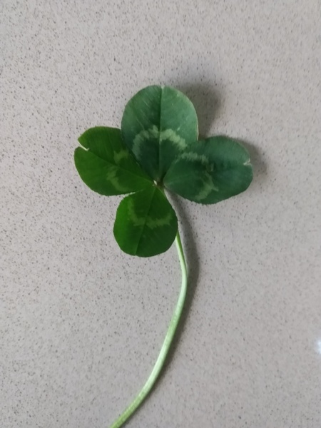 Nature Notes: the 2022 edition