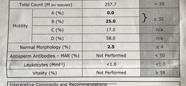 TTC with Letrozole/Clomid