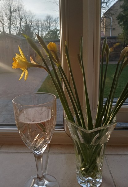 Trapped toddler parents: support through winter and beyond