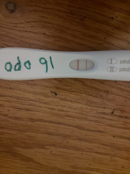 16dpo... Is the line strong enough?