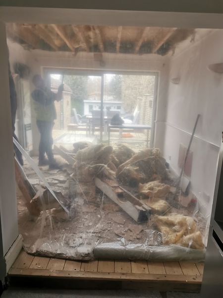 Extension Thread 2022....plaster, panic and pics