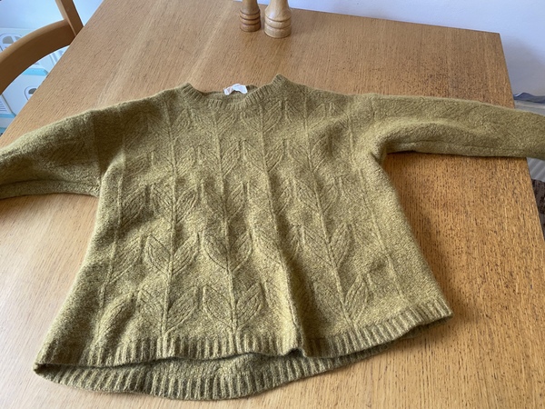 Shit shit shit! I’ve just turned a beloved jumper into a felt lump!