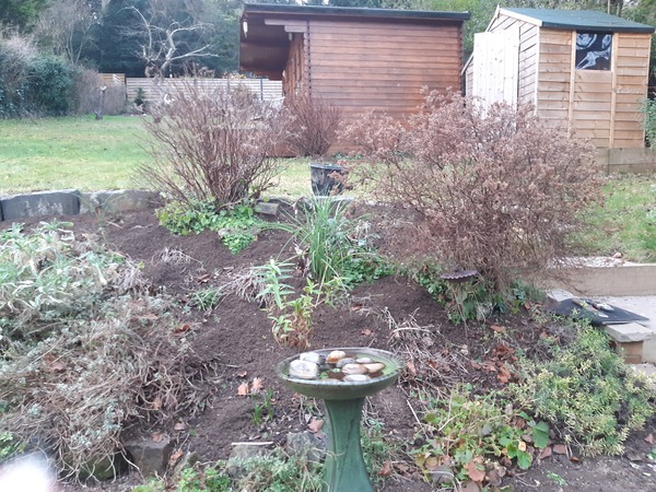 Plant suggestions please!