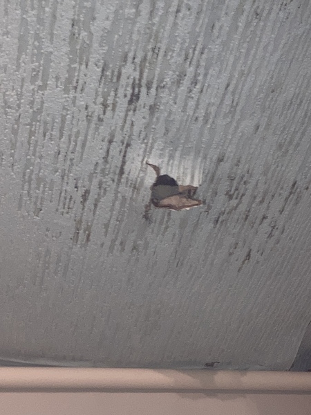 Landlord seems to think this isn’t a priority