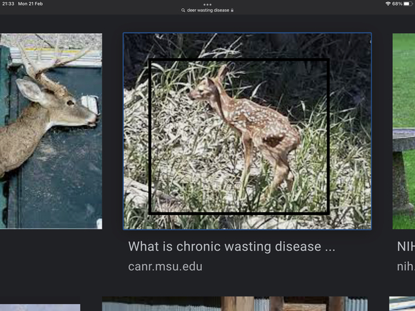 What did we see last night..?