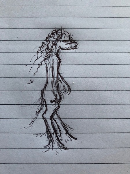 What did we see last night..?