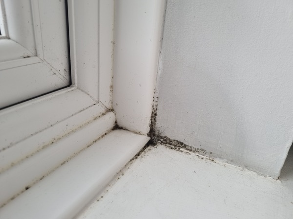 Condensation and Mould help!