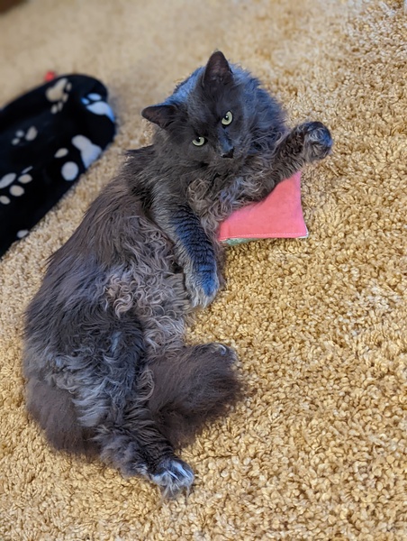 What does she want?