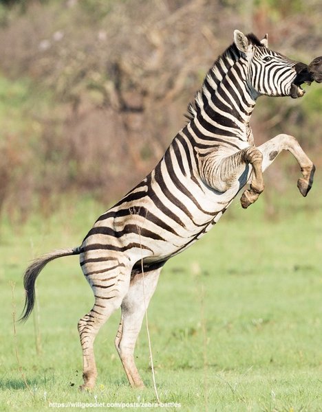 What did we see last night..?