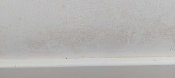 Damp or condensation?