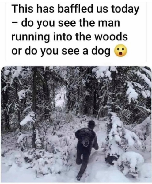 What did we see last night..?