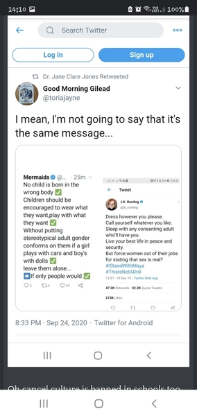 To think that JK Rowling is being vilified for standing for women and children?