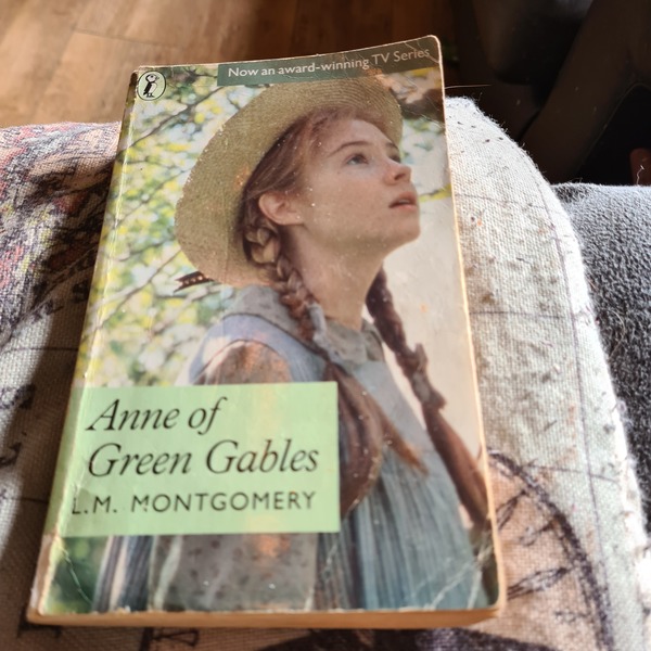 Anne of Green Gables - I have questions