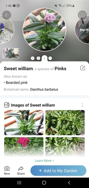 Is there a plant identification app that actually works?