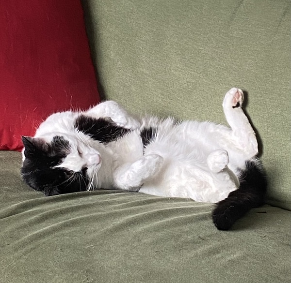Can we have a 'that can't be comfortable' thread? I need cheering up!