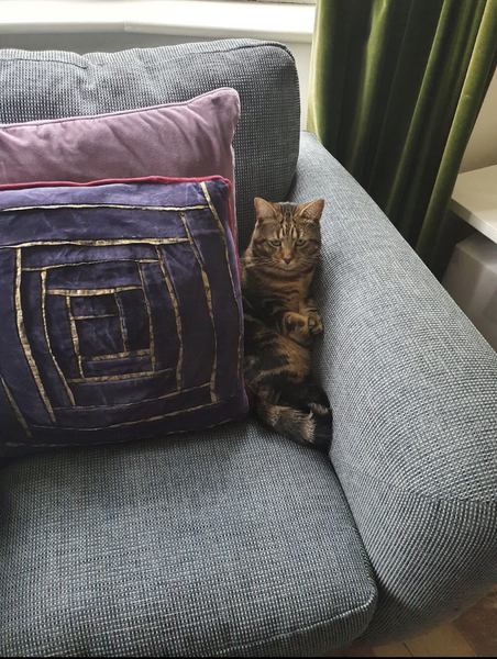 Can we have a 'that can't be comfortable' thread? I need cheering up!