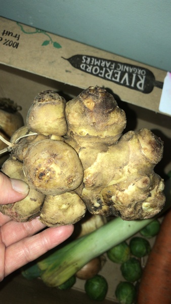 Mystery vegetable