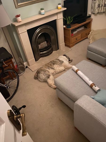 Dog tomorrow (eek!) but I’m injured