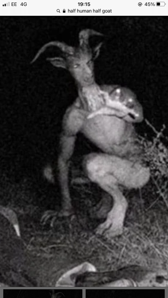 What did we see last night..?