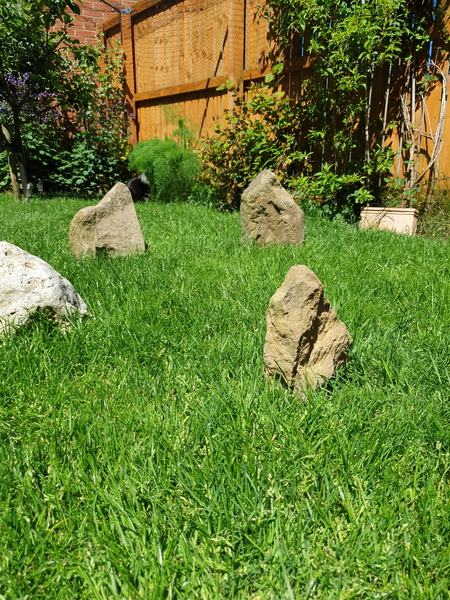 Are you obsessed with random objects?