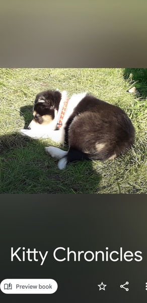 Puppy Survival Thread: surviving into 2022