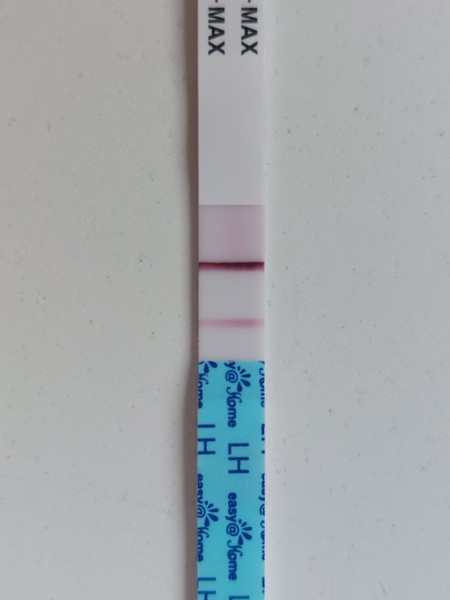 24dpo dye stealer on an opk. Did it out of curiosity