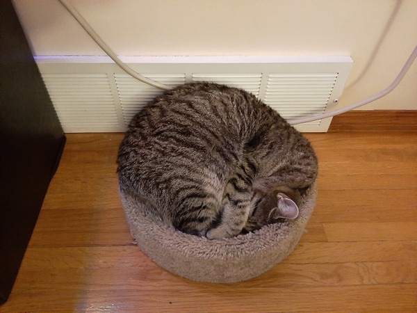 Can we have a 'that can't be comfortable' thread? I need cheering up!