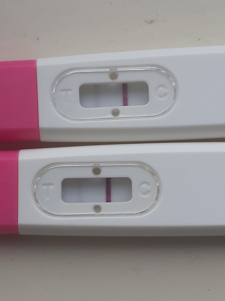 IVF/FET Jan/Feb/March No2 2022