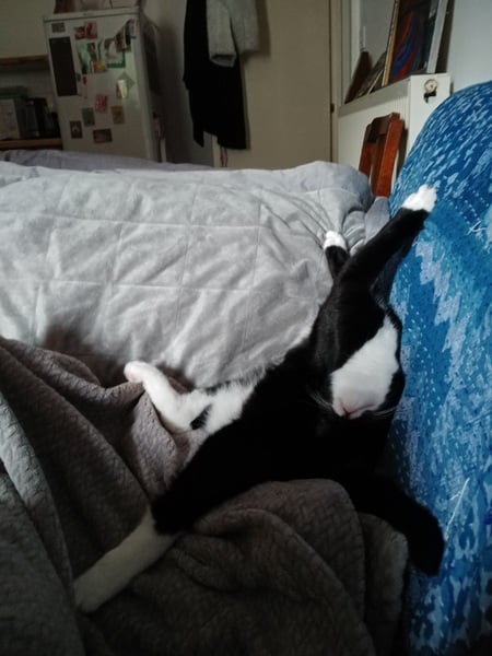 Can we have a 'that can't be comfortable' thread? I need cheering up!