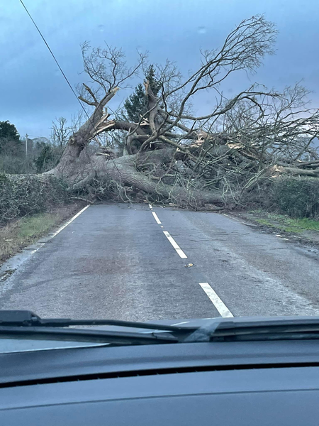 Storm Franklin is driving me nuts !