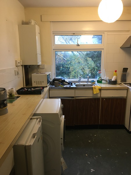 Extension Thread 2022....plaster, panic and pics