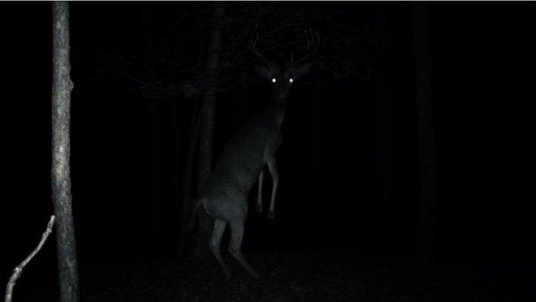 What did we see last night..?