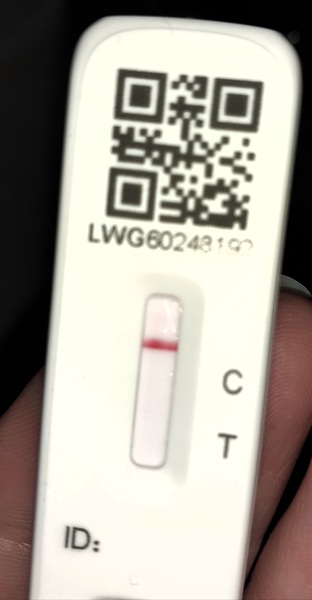 Can anyone else see a line?