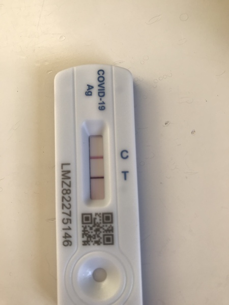 Anyone have covid right now?