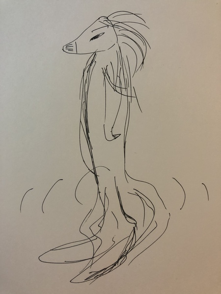 What did we see last night..?