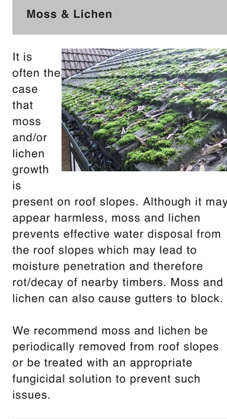 Moss on roof - removal of