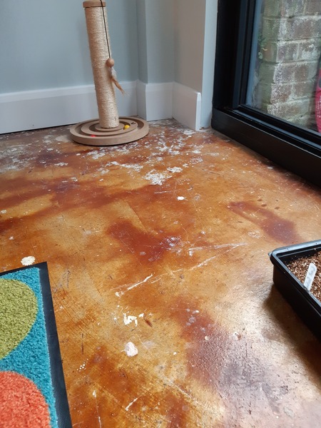 Floor paint