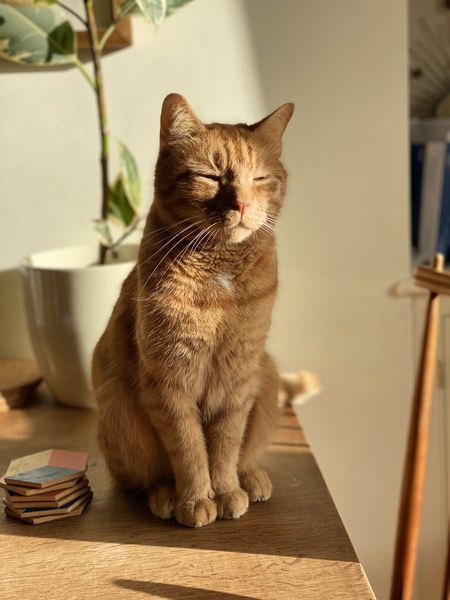 Week 5 - Low Carb Bootcamp '22 - we're half way through!