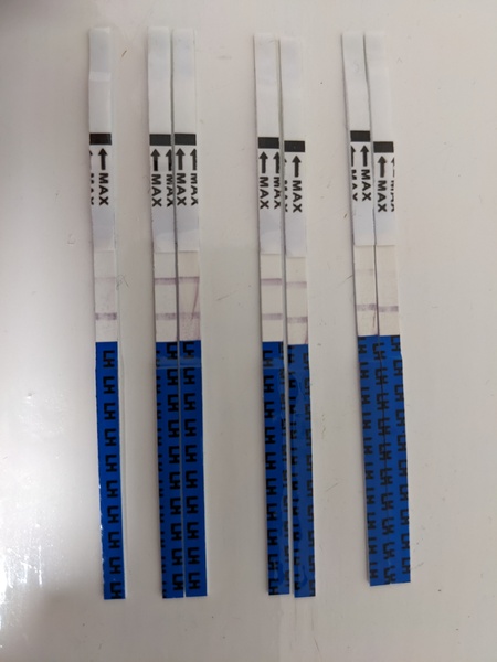 Opk, which day is positive?