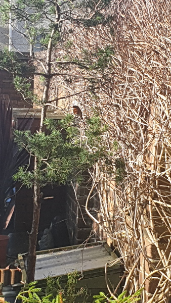 Nature Notes: the 2022 edition