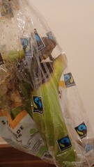 Mouldy banana or spider infested trap...?