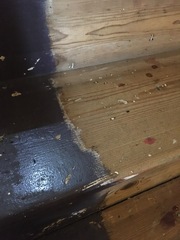 Advice on stair steps paint removal & finish