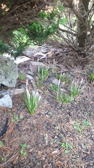 Nature Notes: the 2022 edition