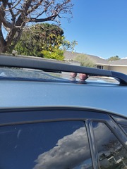 Show Us Your Pictures: 5 Alive